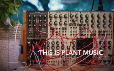 Want to see something mind blowing…? Plant Music